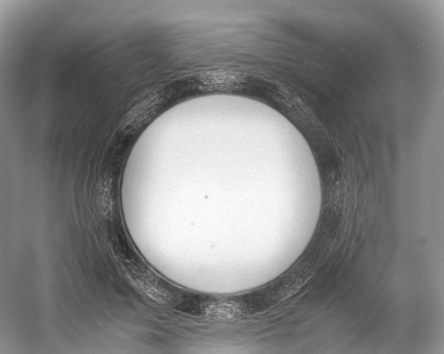 X0000060800599200512011735