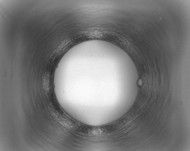 X0000060800600200512011735