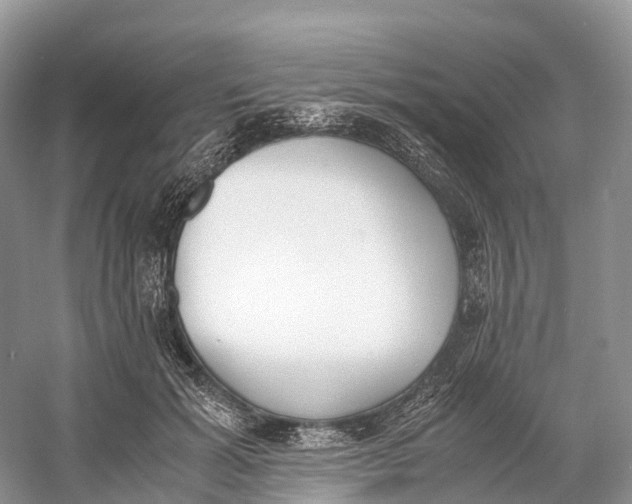 X0000060800605200512011735