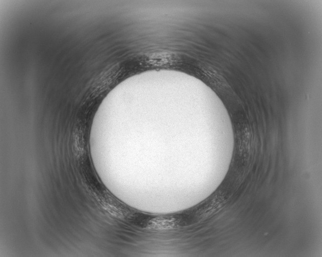 X0000060800606200512011735