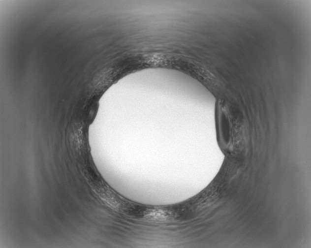 X0000060800611200512011735