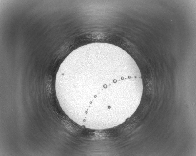 X0000060800612200512011735