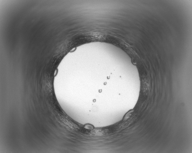 X0000060800613200512011735