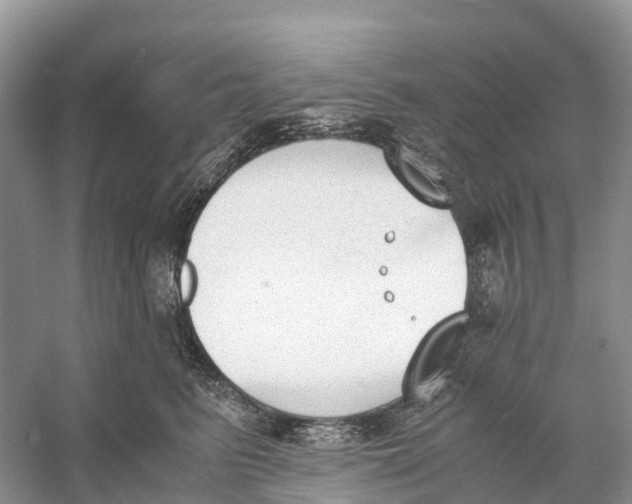 X0000060800615200512011734