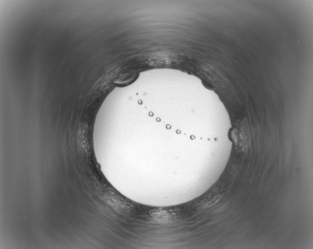 X0000060800616200512011734