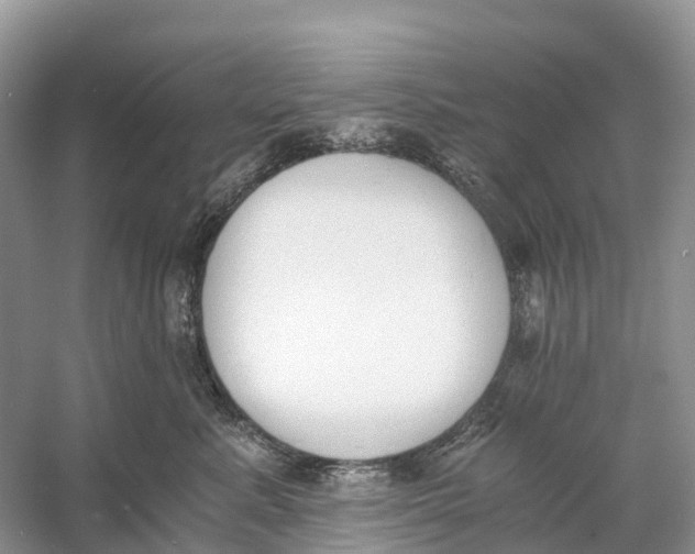 X0000060800619200512011734