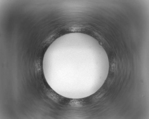 X0000060800620200512011734