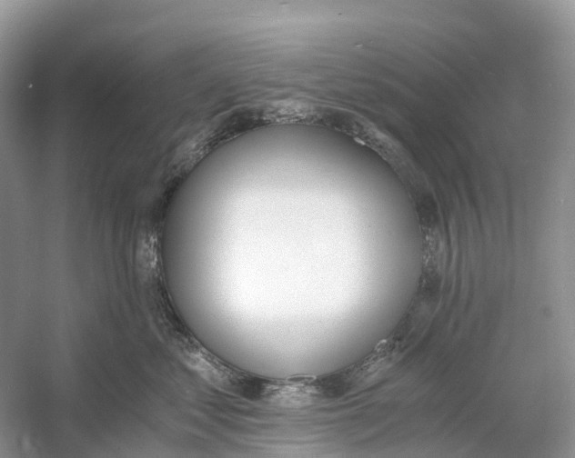 X0000060800621200512011734