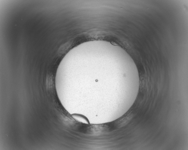 X0000060800623200512011734