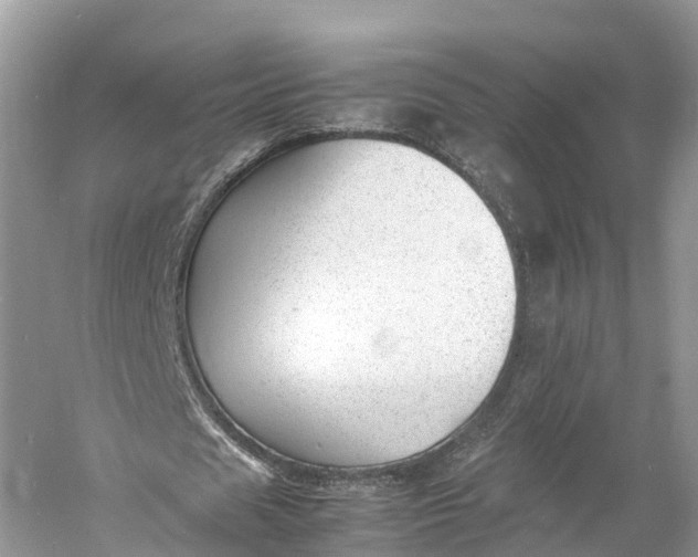 X0000060800625200512011733