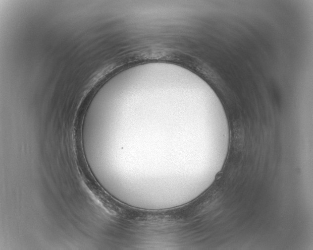 X0000060800626200512011734