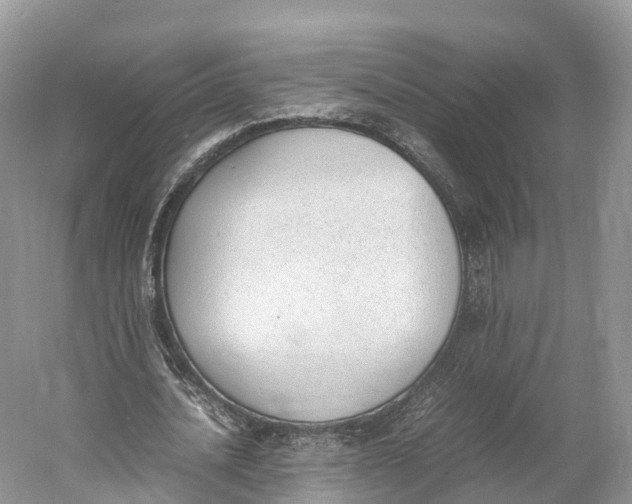 X0000060800628200512011734