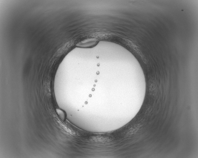 X0000060800633200512011734