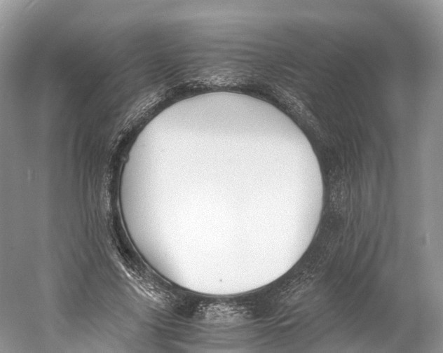 X0000060800635200512011734