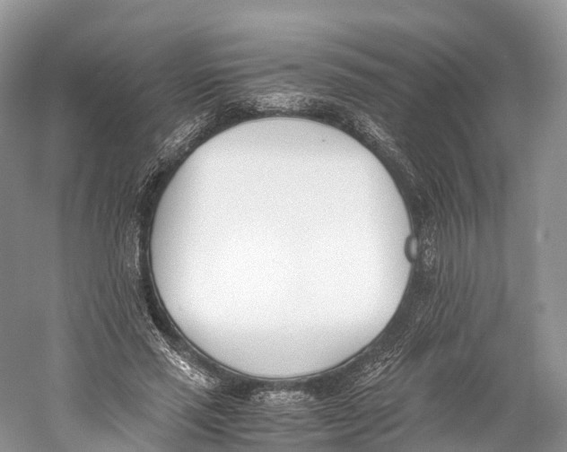 X0000060800637200512011734