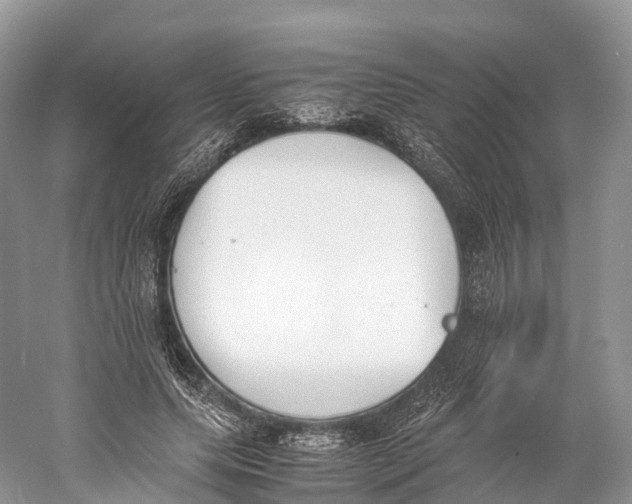 X0000060800639200512011734