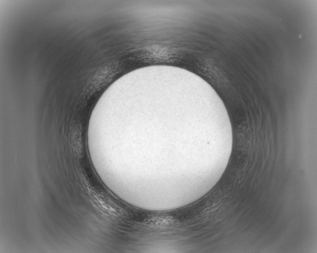 X0000060800642200512011734