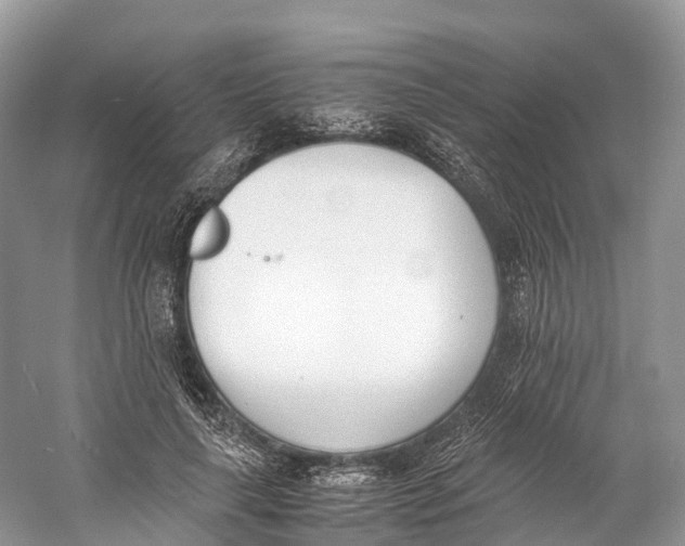 X0000060800643200512011734