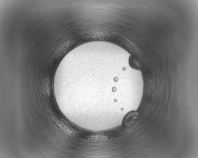 X0000060800644200512011734