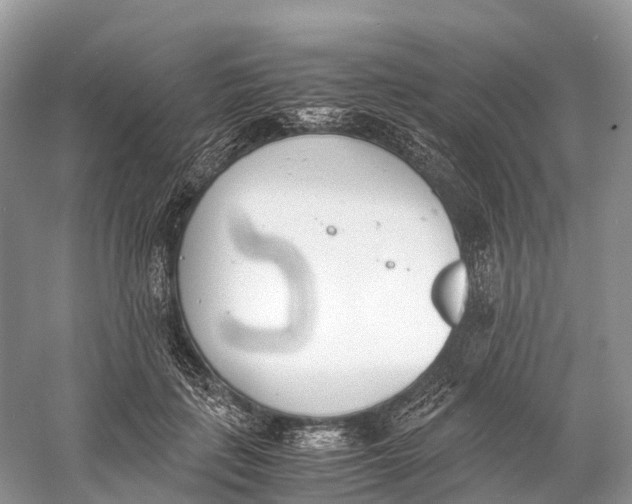 X0000060800651200512011734