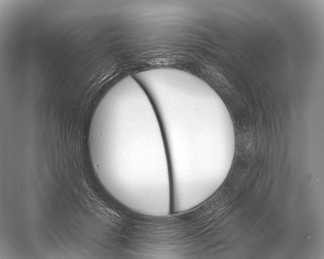 X0000060800652200512011734