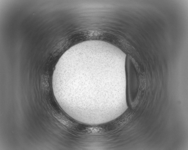 X0000060800654200512011734