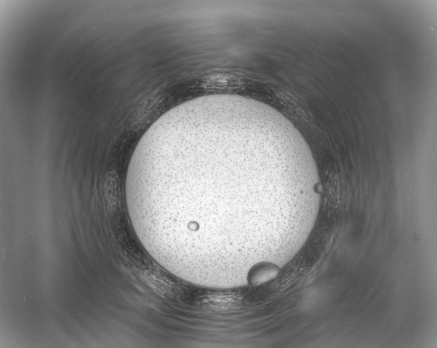 X0000060800659200512011734