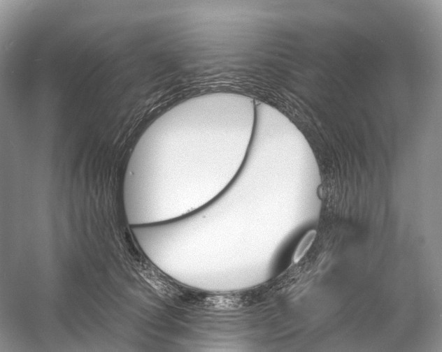 X0000060800660200512011734