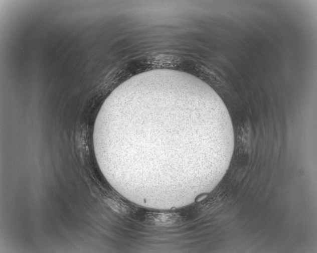 X0000060800663200512011734