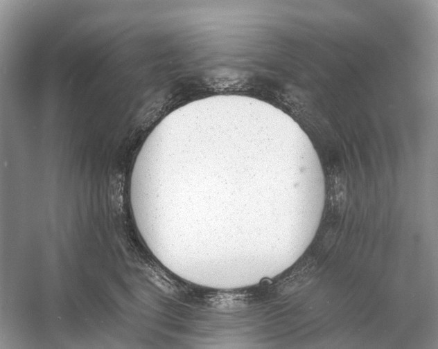 X0000060800664200512011734