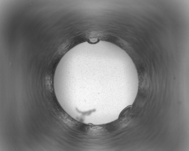 X0000060800669200512011734