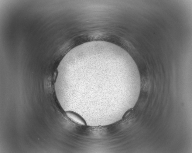 X0000060800670200512011734