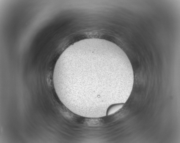 X0000060800671200512011734