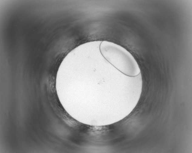 X0000060800672200512011734