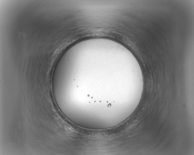 X0000060800673200512011733