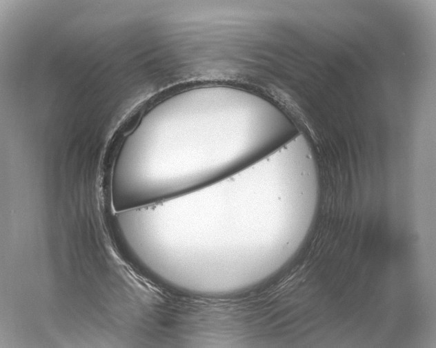 X0000060800676200512011733