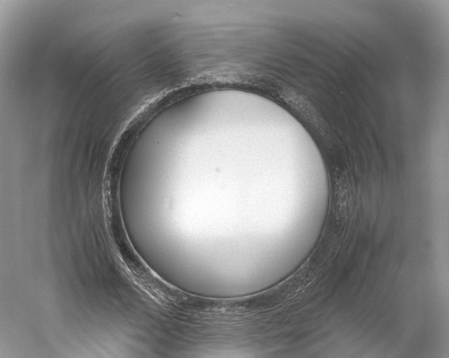 X0000060800680200512011733