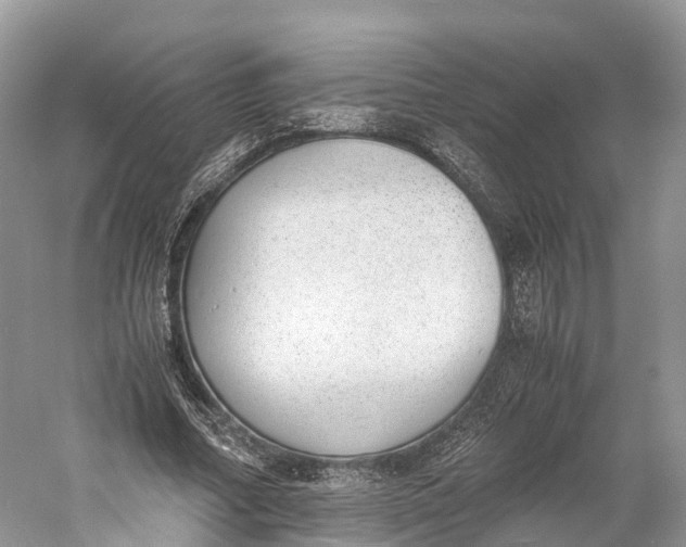 X0000060800682200512011733