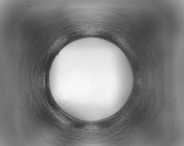 X0000060800685200512011733