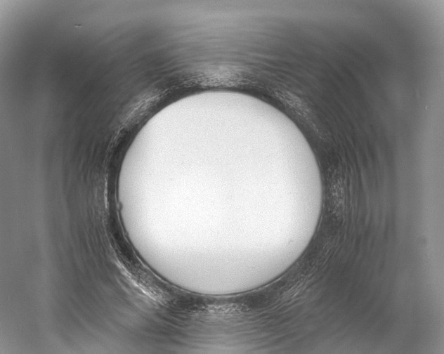 X0000060800686200512011733