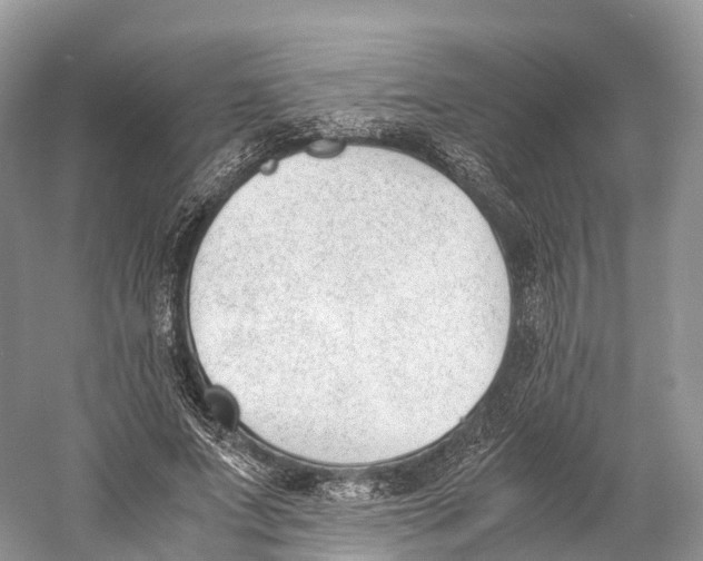 X0000060800687200512011733