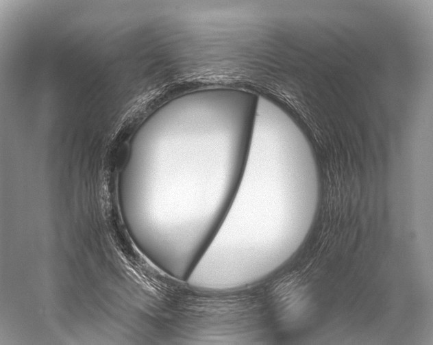 X0000060800688200512011733