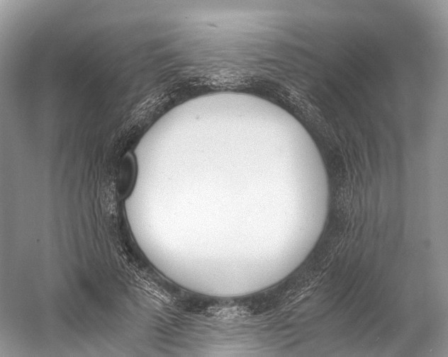 X0000060800689200512011733