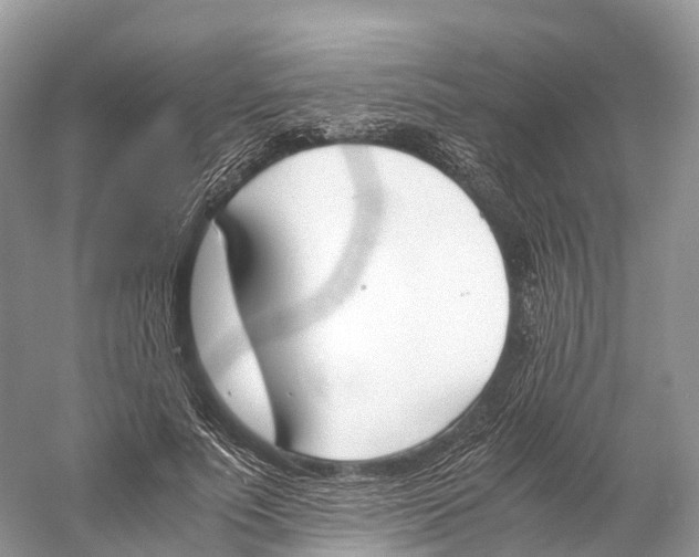 X0000060800691200512011733