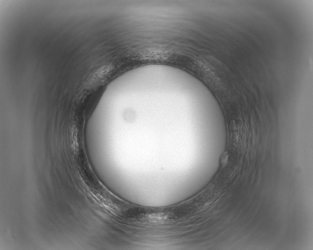 X0000060800692200512011733