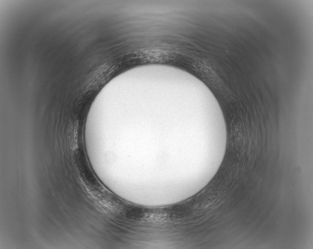 X0000060800694200512011733