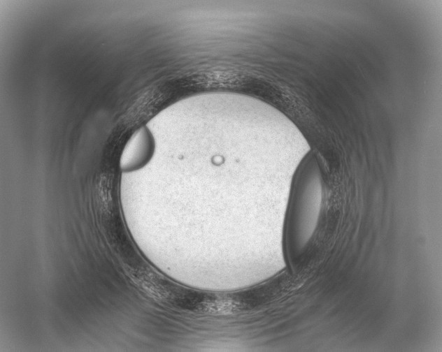 X0000060800695200512011733