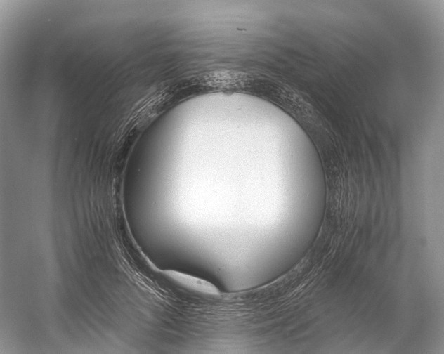 X0000060800696200512011733