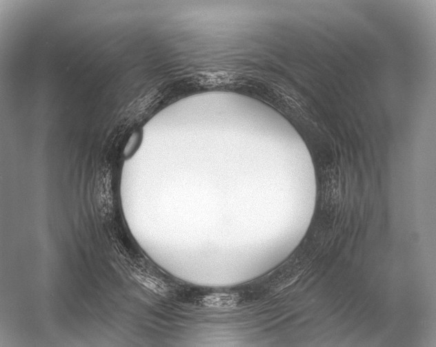 X0000060800700200512011733