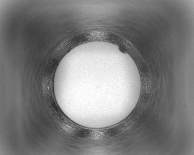 X0000060800701200512011733